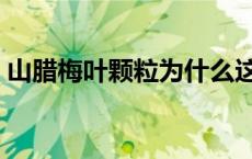 山腊梅叶颗粒为什么这么贵（山腊梅叶颗粒）
