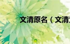 文清原名（文清为什么离开央视）