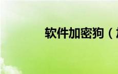 软件加密狗（加密狗怎么用）
