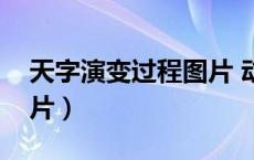 天字演变过程图片 动画（天字的演变过程图片）