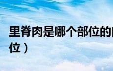 里脊肉是哪个部位的肉图片（里脊肉是哪个部位）