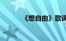 《想自由》歌词（想自由歌词）