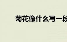 菊花像什么写一段话（菊花像什么）