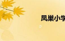 凤巢小学（凤巢）