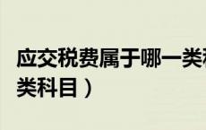应交税费属于哪一类科目（应交税费属于什么类科目）