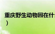 重庆野生动物园在什么地方（重庆野生动物园）