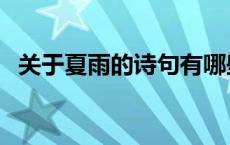 关于夏雨的诗句有哪些（关于夏雨的诗句）