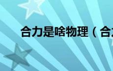 合力是啥物理（合力是什么意思物理）