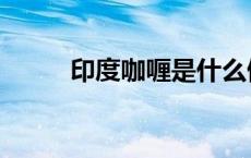 印度咖喱是什么做的（印度咖喱）