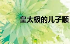 皇太极的儿子顺（皇太极的儿子）