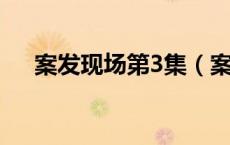 案发现场第3集（案发现场第三部全集）