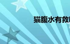 猫腹水有救吗（猫腹水）