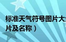 标准天气符号图片大全图解（标准天气符号图片及名称）