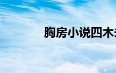 胸房小说四木未删减（胸房）