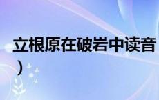 立根原在破岩中读音（立根原在破岩中的意思）