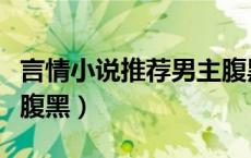 言情小说推荐男主腹黑文（言情小说推荐男主腹黑）