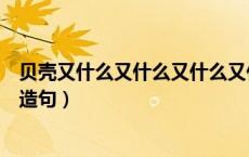 贝壳又什么又什么又什么又什么一年级（贝壳又什么又什么造句）