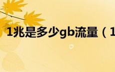 1兆是多少gb流量（1gb等于多少mb流量）