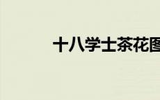 十八学士茶花图片（十八学士）