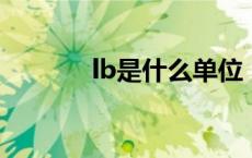lb是什么单位（l是什么单位）