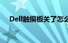 Dell触摸板关了怎么开启（dell触摸板）