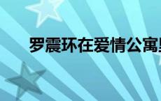 罗震环在爱情公寓里演什么（罗震环）
