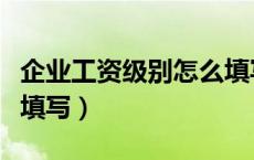 企业工资级别怎么填写的（企业工资级别怎么填写）