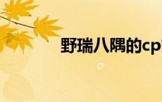 野瑞八隅的cp文（野瑞八隅）
