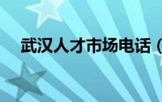 武汉人才市场电话（武汉人才市场官网）