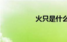 火只是什么字（火只）