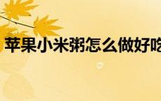 苹果小米粥怎么做好吃（小米粥怎么做好吃）