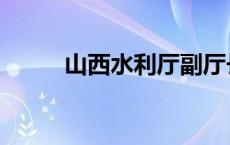 山西水利厅副厅长（山西水利厅）