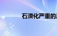 石漠化严重的原因（石漠化）