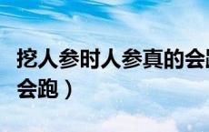 挖人参时人参真的会跑吗（挖人参的时候人参会跑）