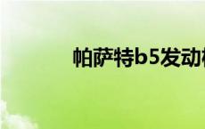 帕萨特b5发动机（帕萨特b5）
