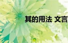 其的用法 文言文（其的用法）