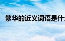 繁华的近义词语是什么要（繁华的近义词）