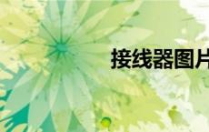 接线器图片（接线器）