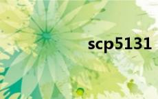 scp5131（scp513）
