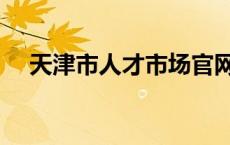 天津市人才市场官网（天津市人才市场）