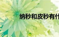 纳秒和皮秒有什么区别（纳秒）