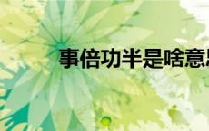 事倍功半是啥意思啊（事倍功半）