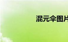 混元伞图片（混元伞）