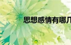思想感情有哪几种（思想感情）