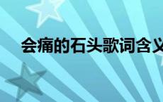 会痛的石头歌词含义（会痛的石头歌词）