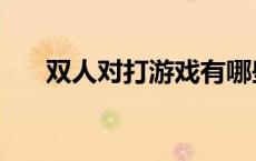 双人对打游戏有哪些（双人对打游戏）