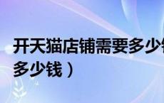 开天猫店铺需要多少钱费用（开天猫店铺需要多少钱）