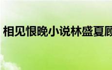 相见恨晚小说林盛夏顾泽恺（相见恨晚小说）
