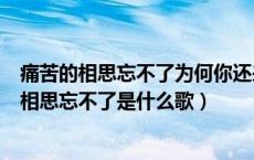 痛苦的相思忘不了为何你还来拨动我心跳（回忆过去痛苦的相思忘不了是什么歌）