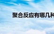 聚合反应有哪几种类型（聚合反应）